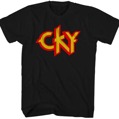 ヴィンテージ✨CKY Tシャツ クラシックロゴ ブルー Cky футболка купить на OZON по низкой цене