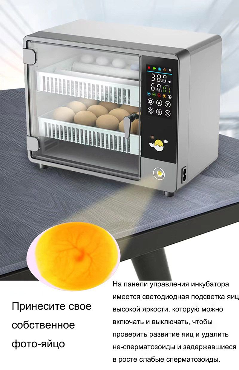 Инкубатор для яиц автоматический, 24 яиц - купить с доставкой по ...