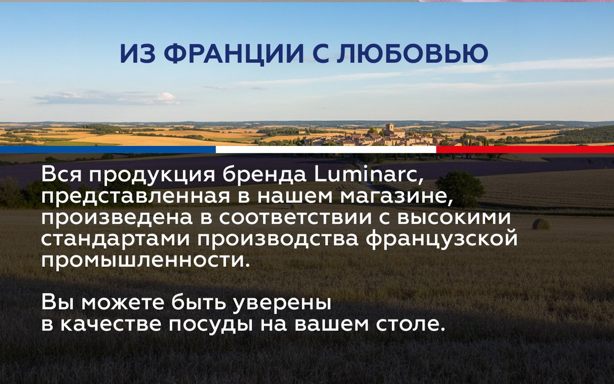 тарелка обеденная