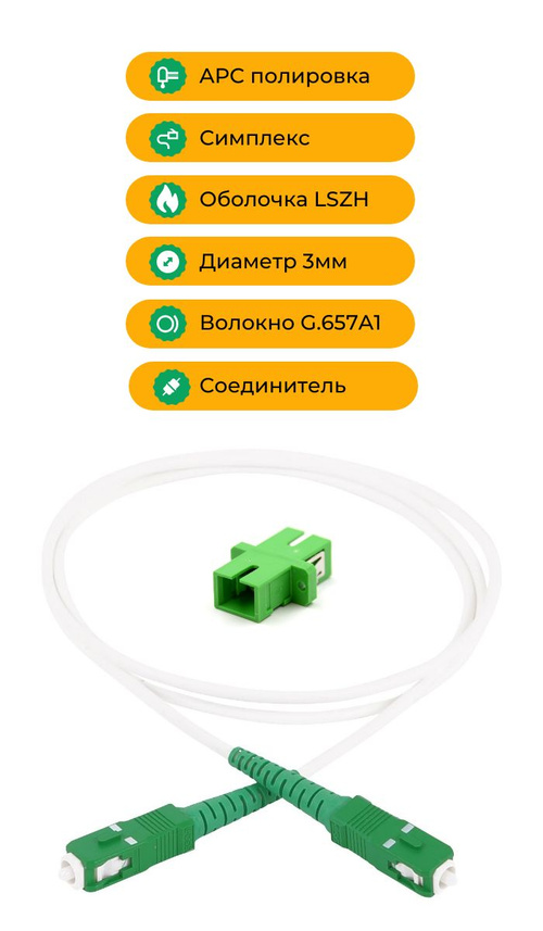 Тығыз, әдемі есек фотодағы мүшесі