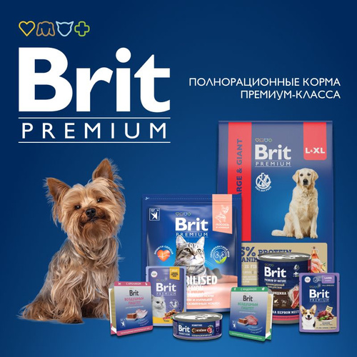 Brit premium dog food hotsell