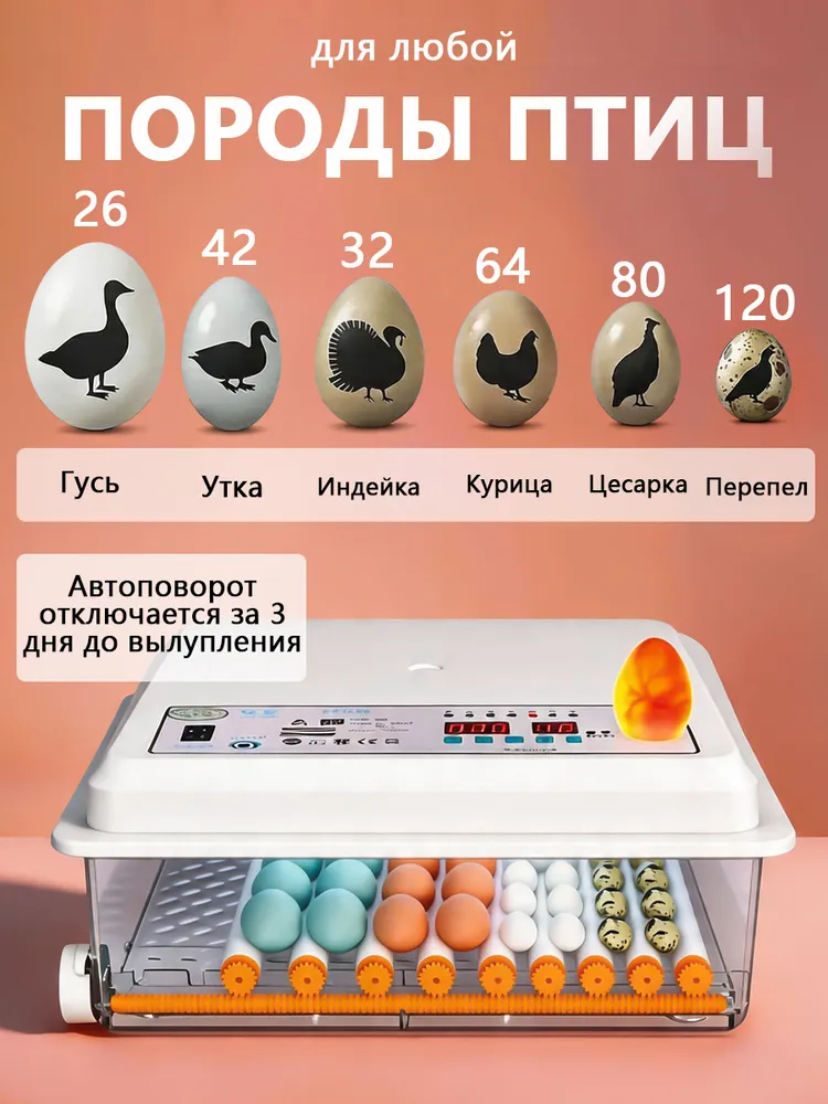 64 яиц, BEVEACE Автоматический интеллектуальный домашний инкубатор для яиц, Регулирование температуры и влажности,овоскопом, автоповоротом, AC220V, один источник питания, вариант, фото 4