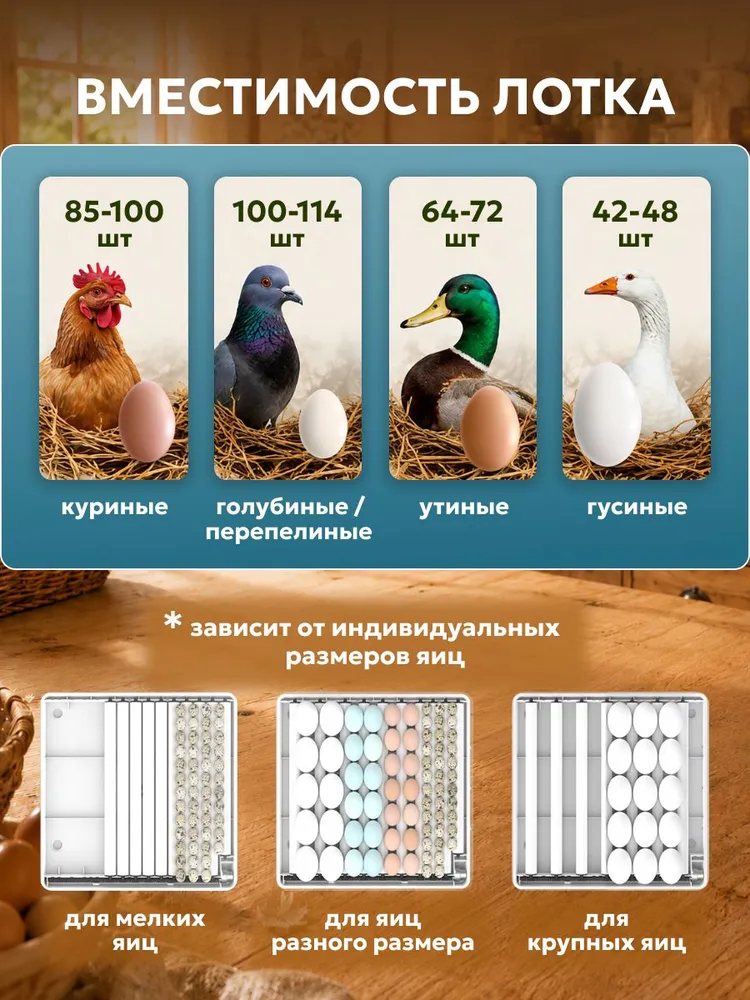 Инкубатор для яиц автоматический SteadFast С-100 с терморегулятором, гигрометром, овоскопом, автоповоротом, 220В/12В, вариант, фото 2