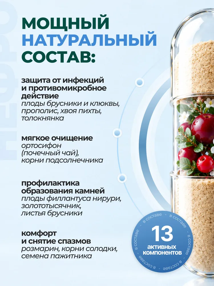 Нефроперфект комплекс для почек и мочевыводящих путей от мочекаменной болезни, цистита и уретрита, мочегонное средство от отеков, вариант, фото 5