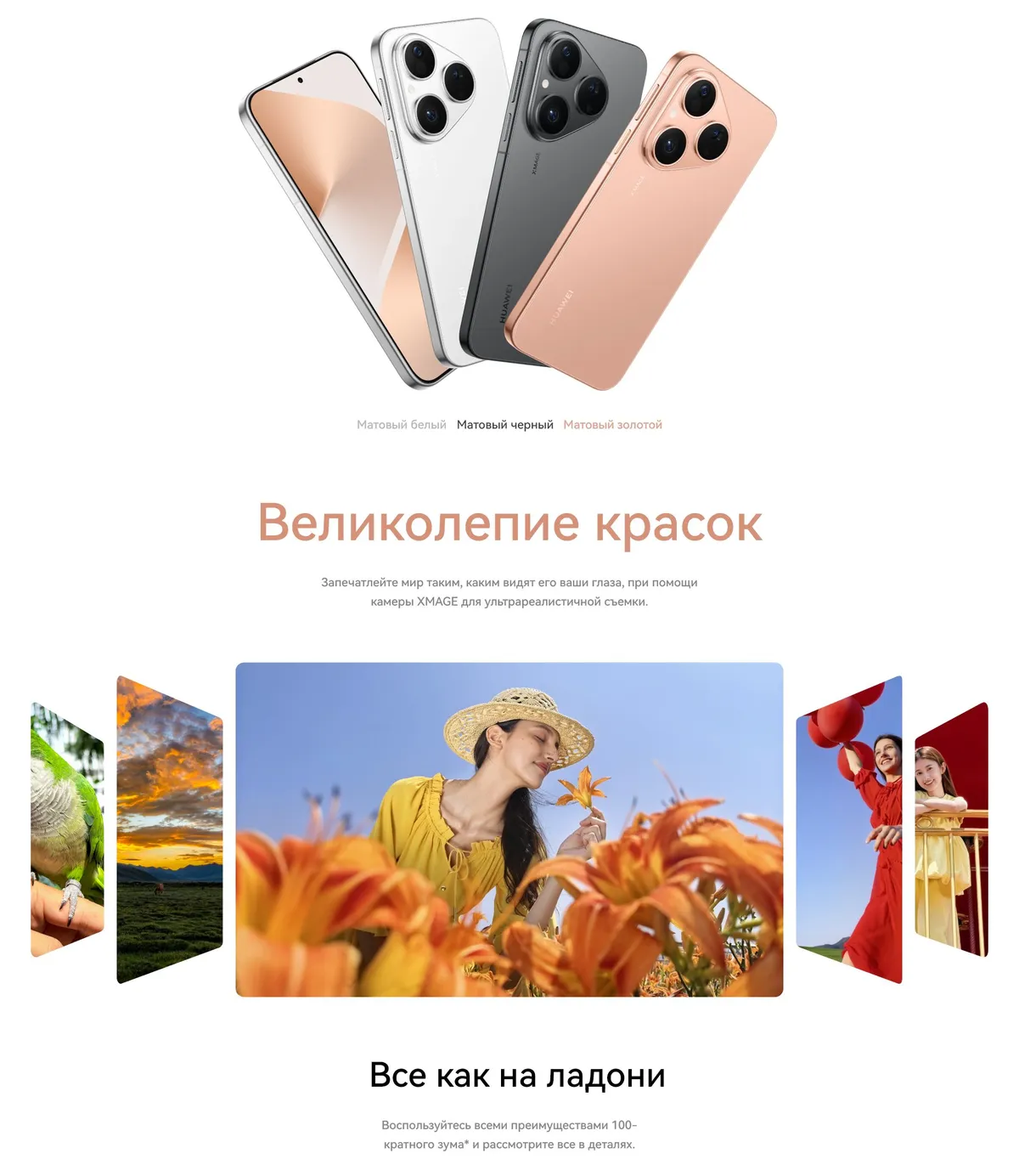 Купить Huawei Pura 80 (12/256) Black в Донецке Макеевке ДНР Купить Huawei Pura 80 (12/256) Black в Донецке Макеевке ДНР