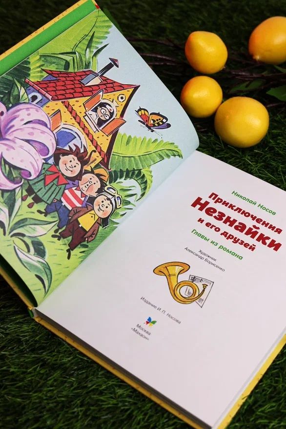 Приключения Незнайки и его друзей. Главы из романа | The Adventures of Dunno and His Friends. Chapters from the Novel - Ozon image 6