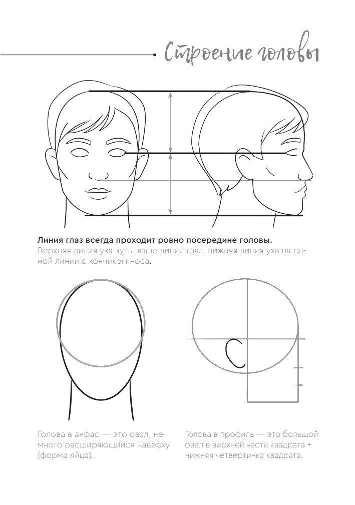 Рисуем человека | Risuem cheloveka - Ozon image 5