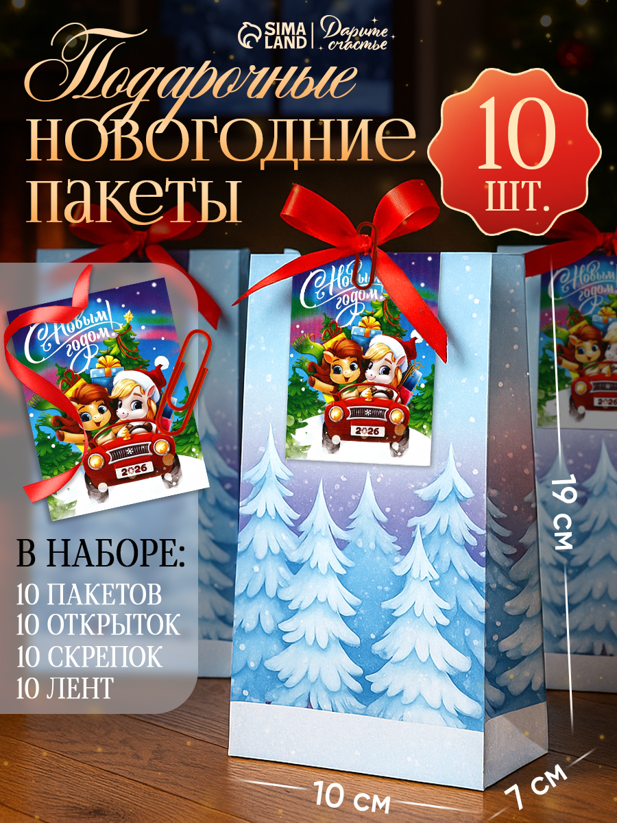 Пакеты подарочные новогодние, набор 10 шт, 10 х 19 см