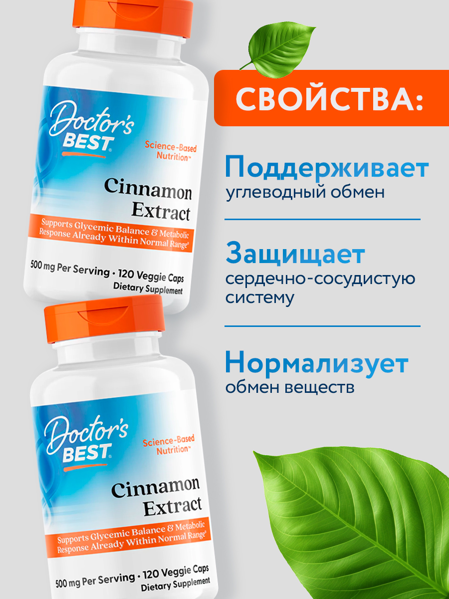 Doctors Best, Cinnamon Extract with CinSulin 250mg, 120VC