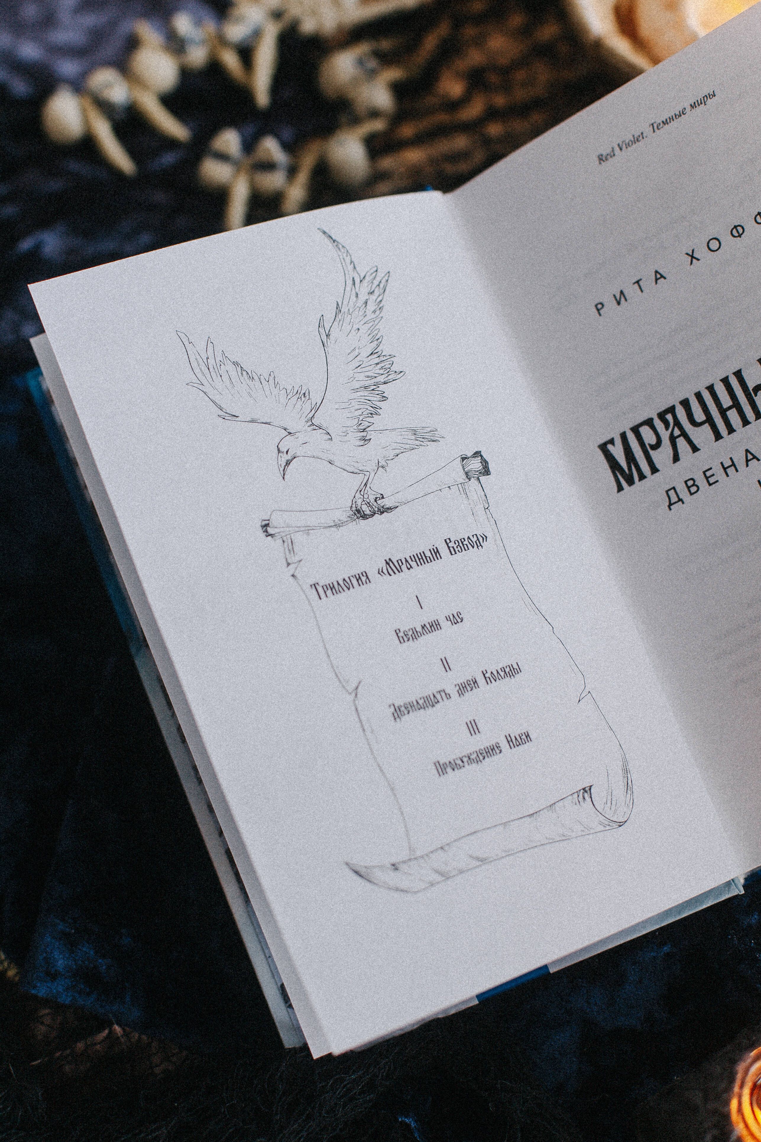 Мрачный Взвод. Двенадцать дней Коляды | Dark Squad: Twelve Days of Kolyada - Ozon image 6