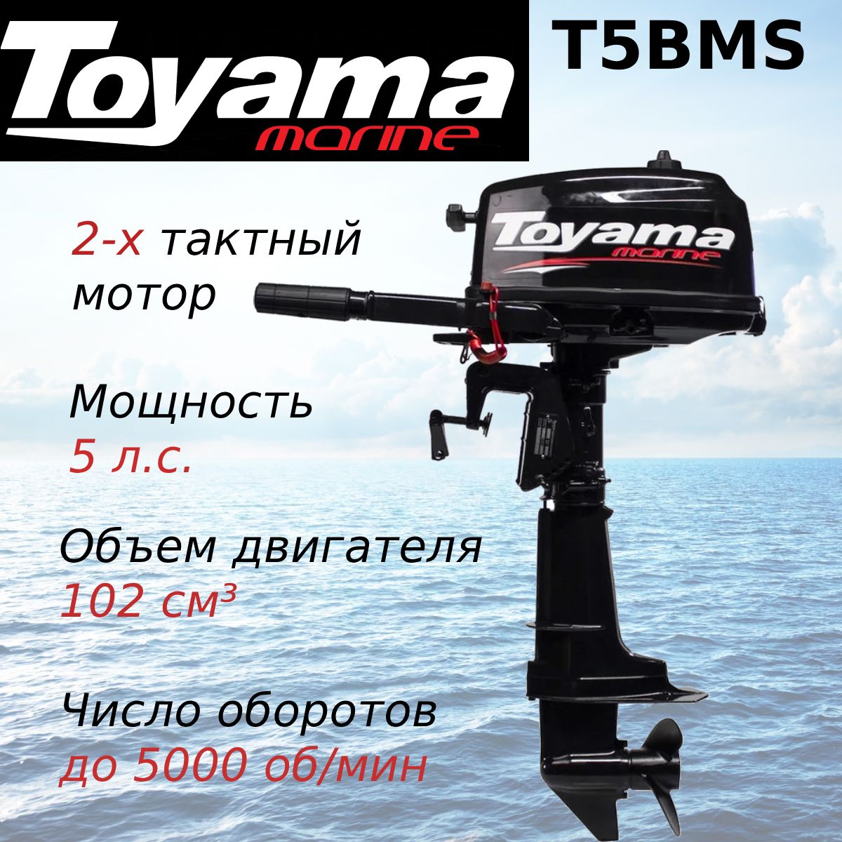  TOYAMA T5BMS C OZON 