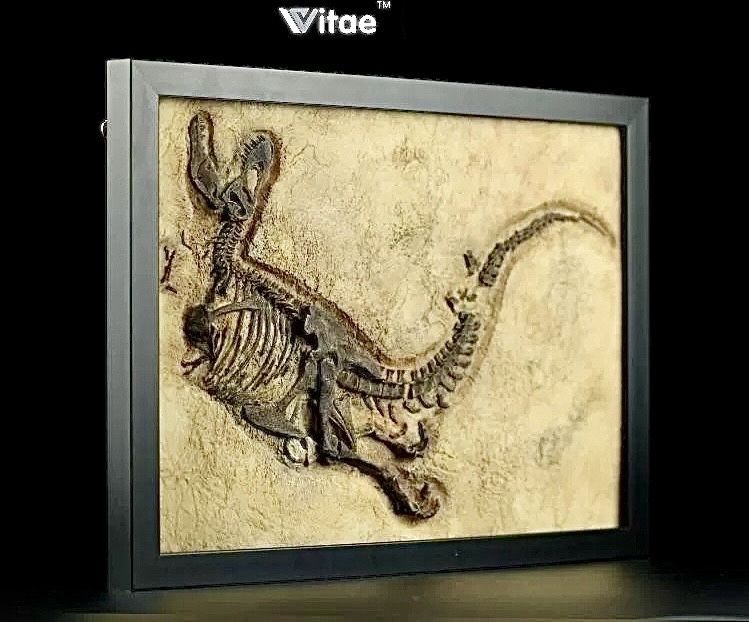 Тираннозавр рекс / Tyrannosaurus Rex Декоративная модель окаменелости в рамке