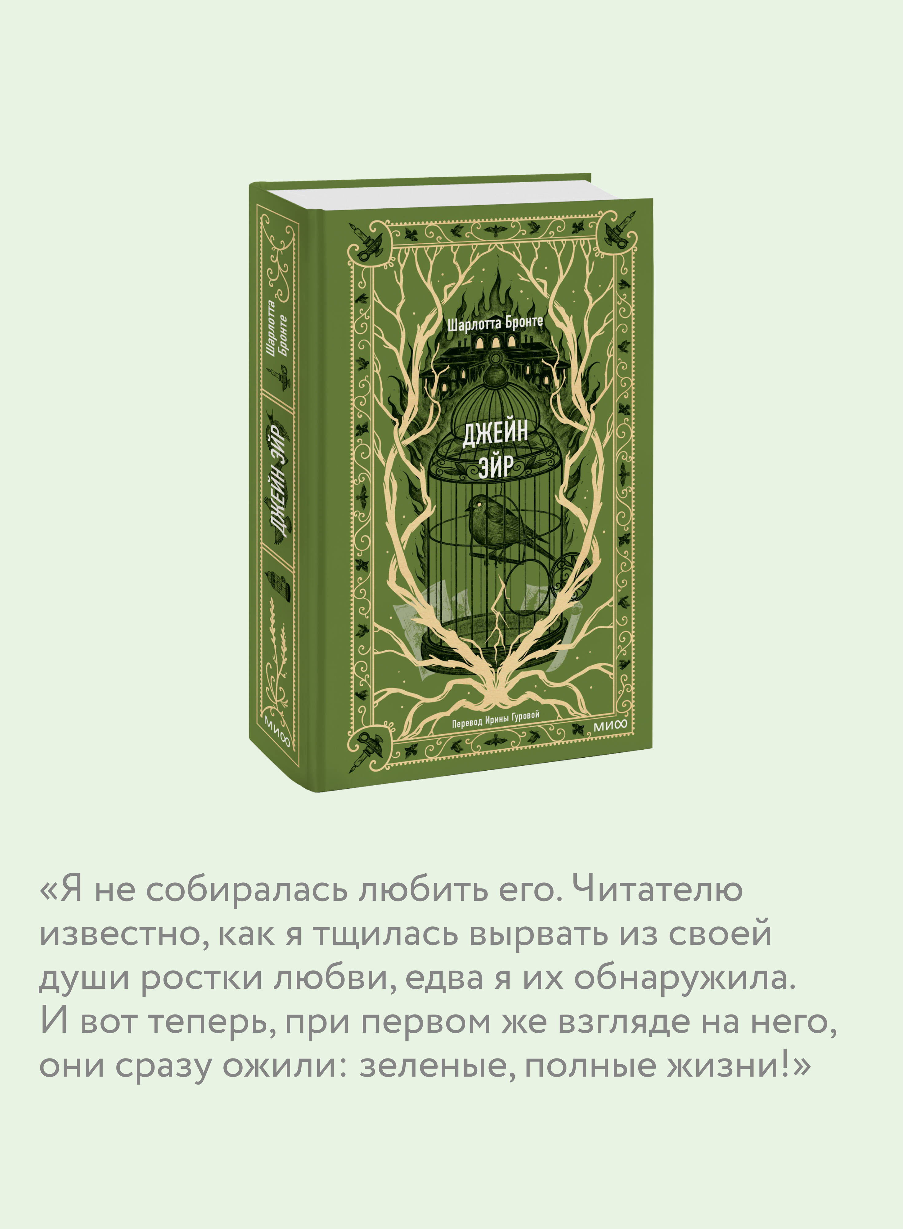 Джейн Эйр. Вечные истории | Jane Eyre. Eternal Stories - Ozon image 2