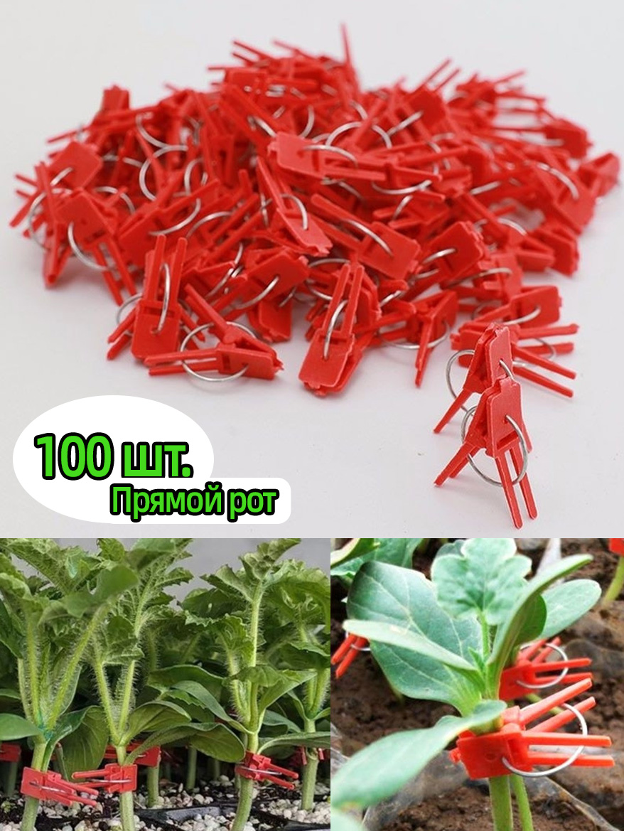 Клипсыдляпарника35х25мм,Пластик,99шт