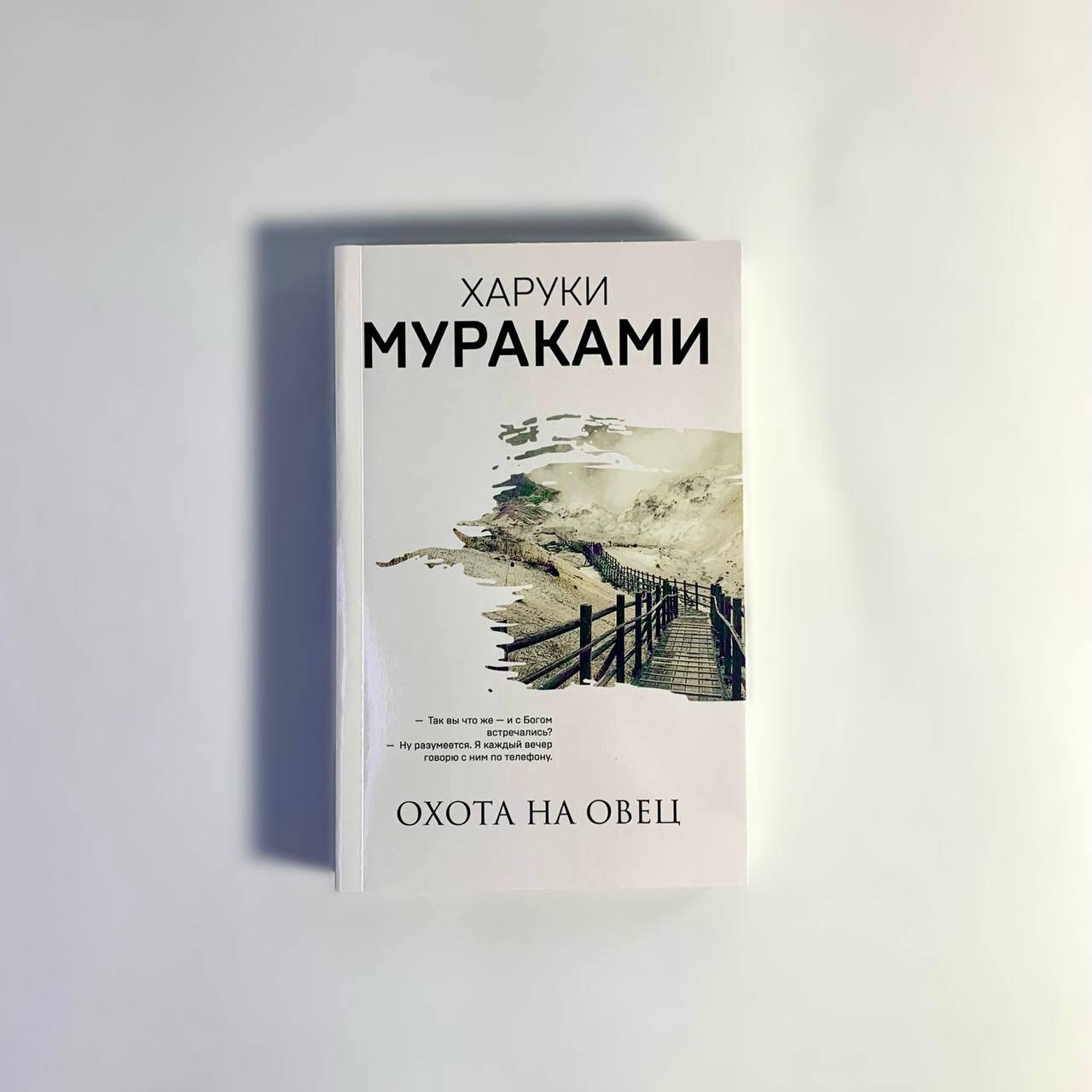 Охота на овец | A Wild Sheep Chase - Ozon image 2
