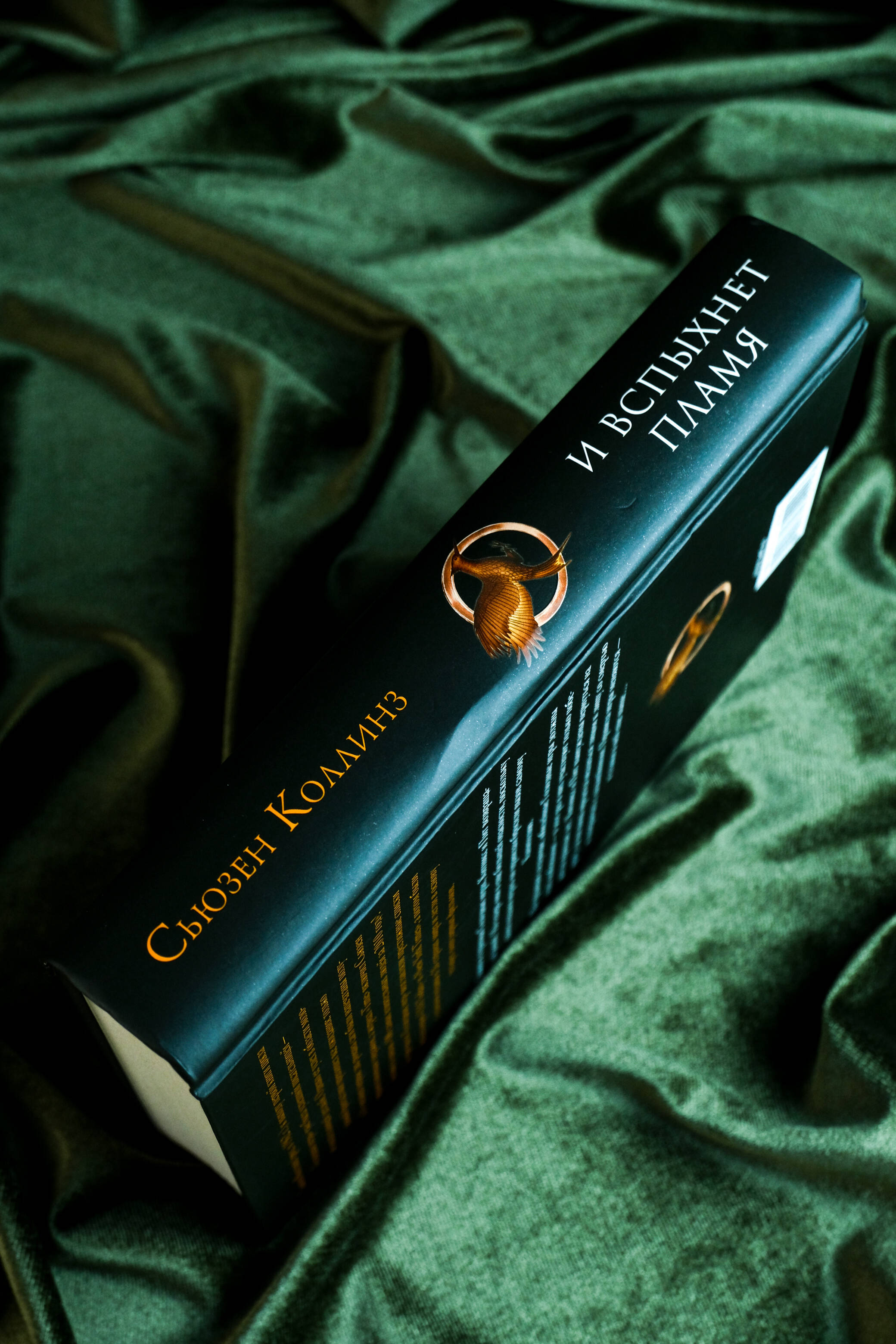 И вспыхнет пламя | The Ballad of Songbirds and Snakes - Ozon image 5