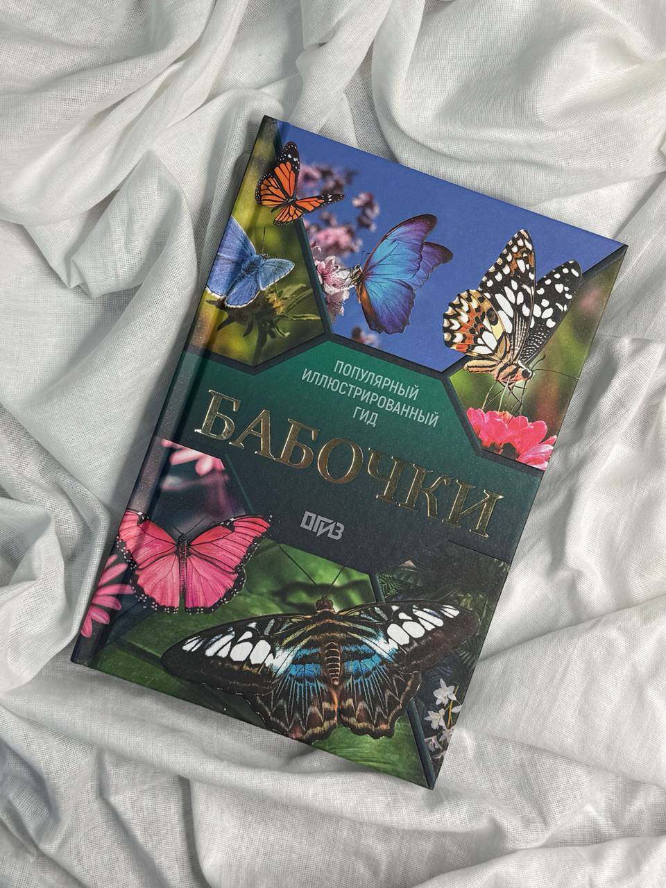 Бабочки. Иллюстрированный гид | Butterflies. Illustrated Guide - Ozon image 2
