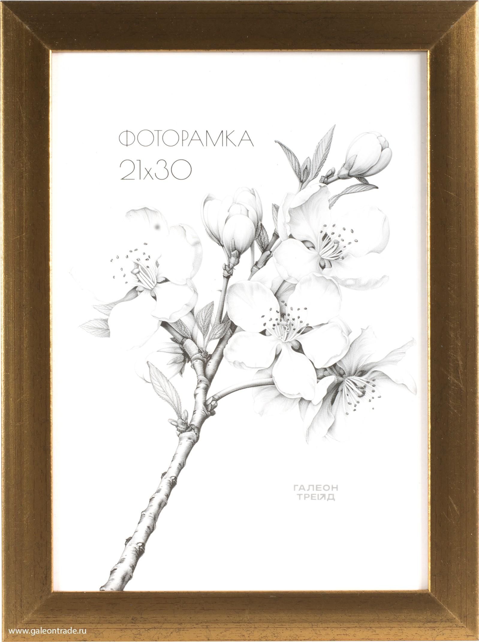Фоторамка пластиковая 21 х 30 см, золотая