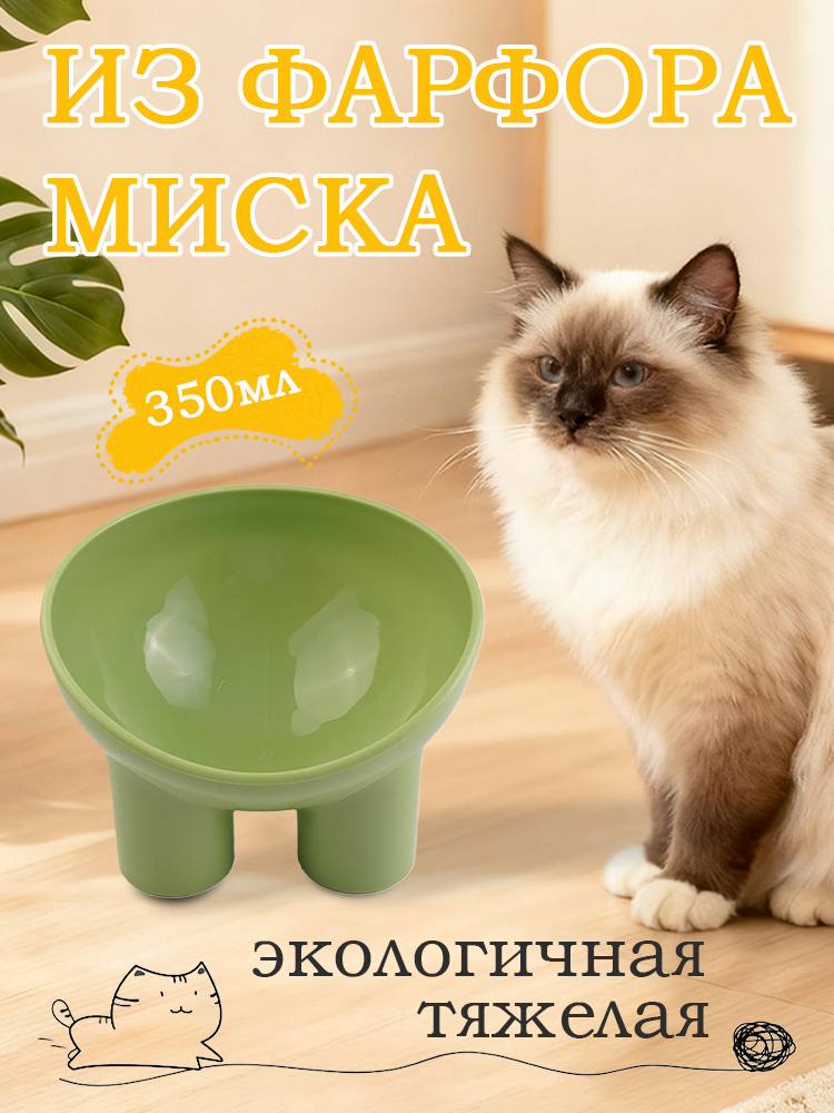 Пластиковаямискадлядомашнихживотныхсзащитойотопрокидывания,мискадлякошекнавысокихножках