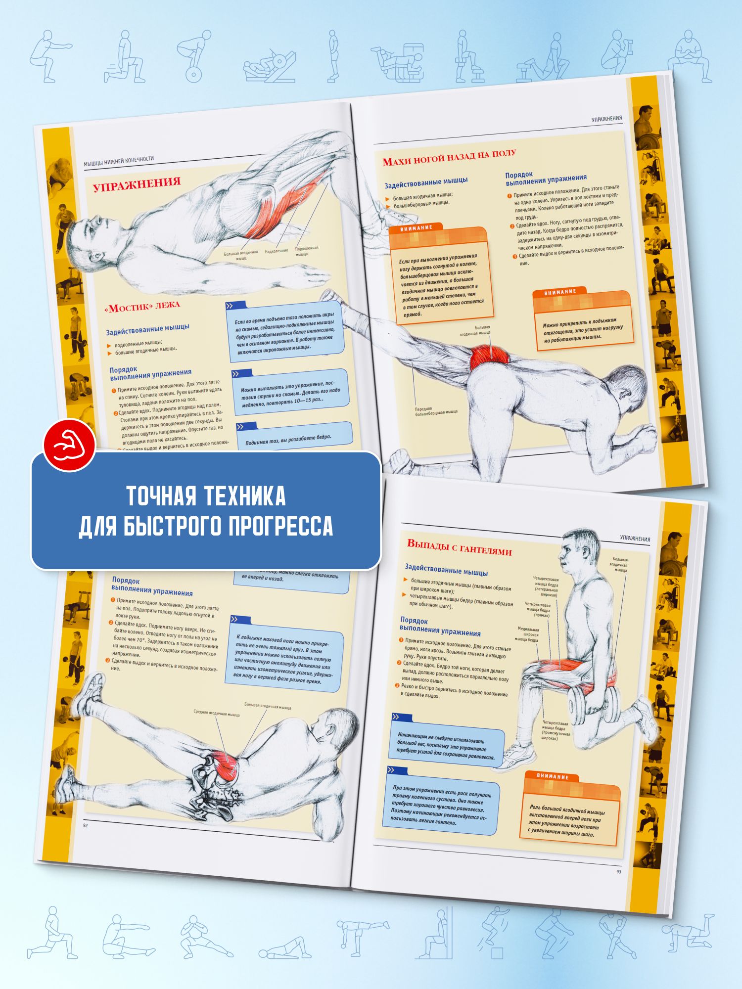 Анатомия силовых упражнений для мужчин и женщин | Reference Book - Ozon image 4