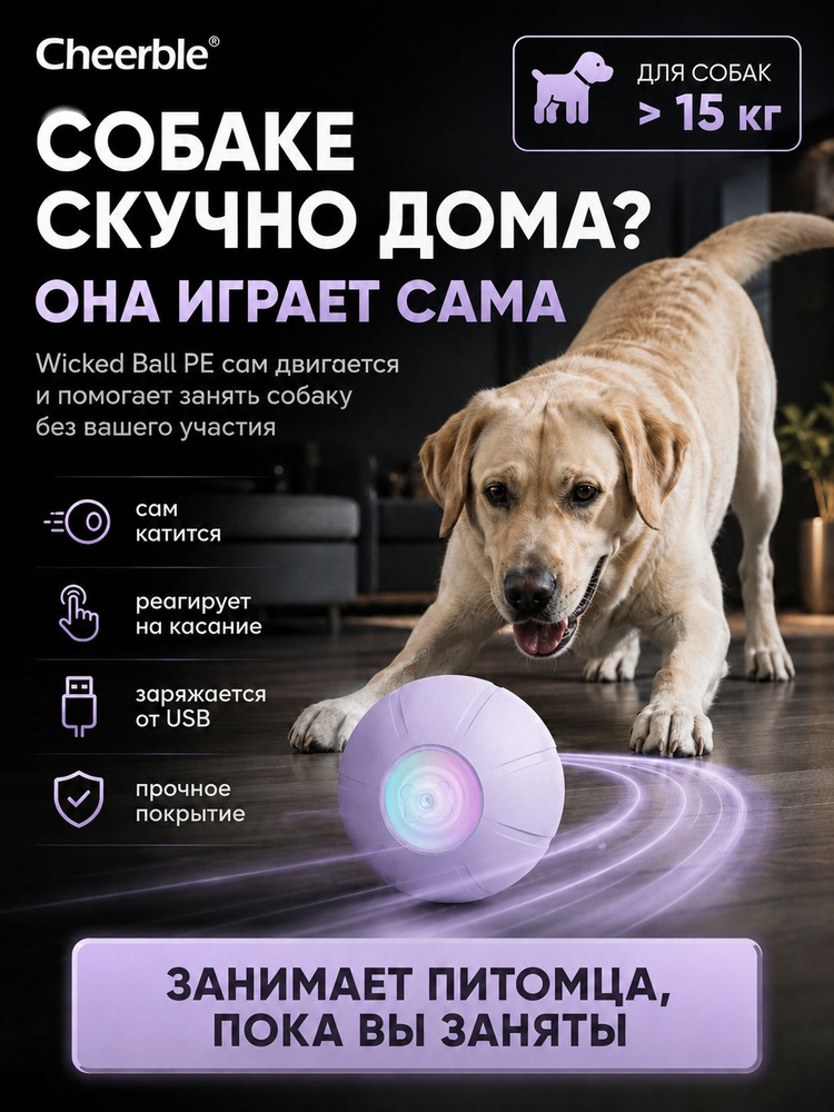Игрушка для собак мяч Cheerble PE интерактивный, каучуковый для средних и крупных пород с зарядкой, фиолетовый #1
