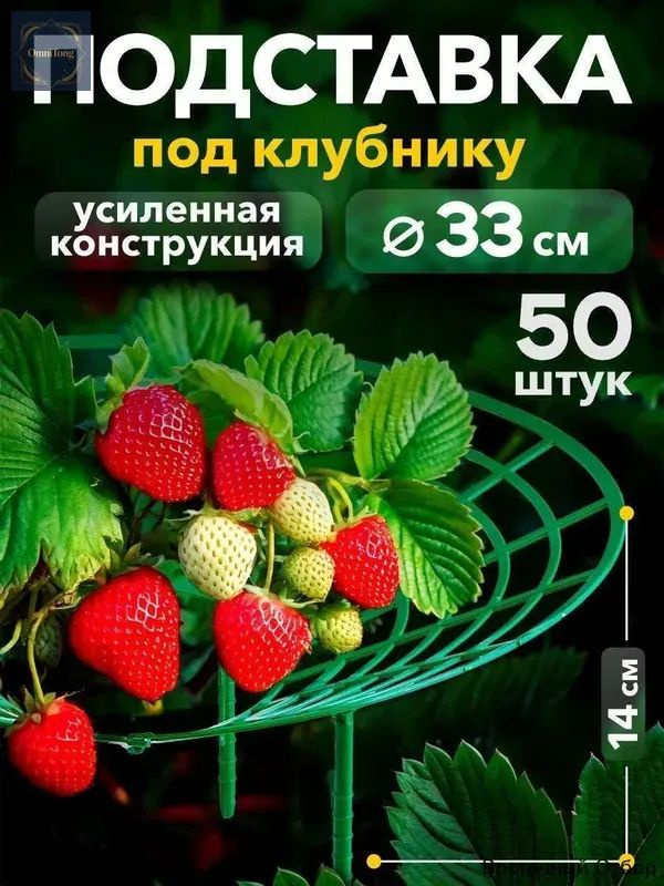 33-50-ozon-4682215159