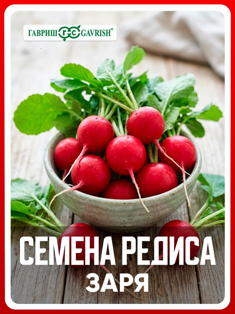 Семена Редис "Заря" 2 гр, для дома, дачи и огорода, в открытый грунт, на балкон, на подоконник, в контейнер. #1