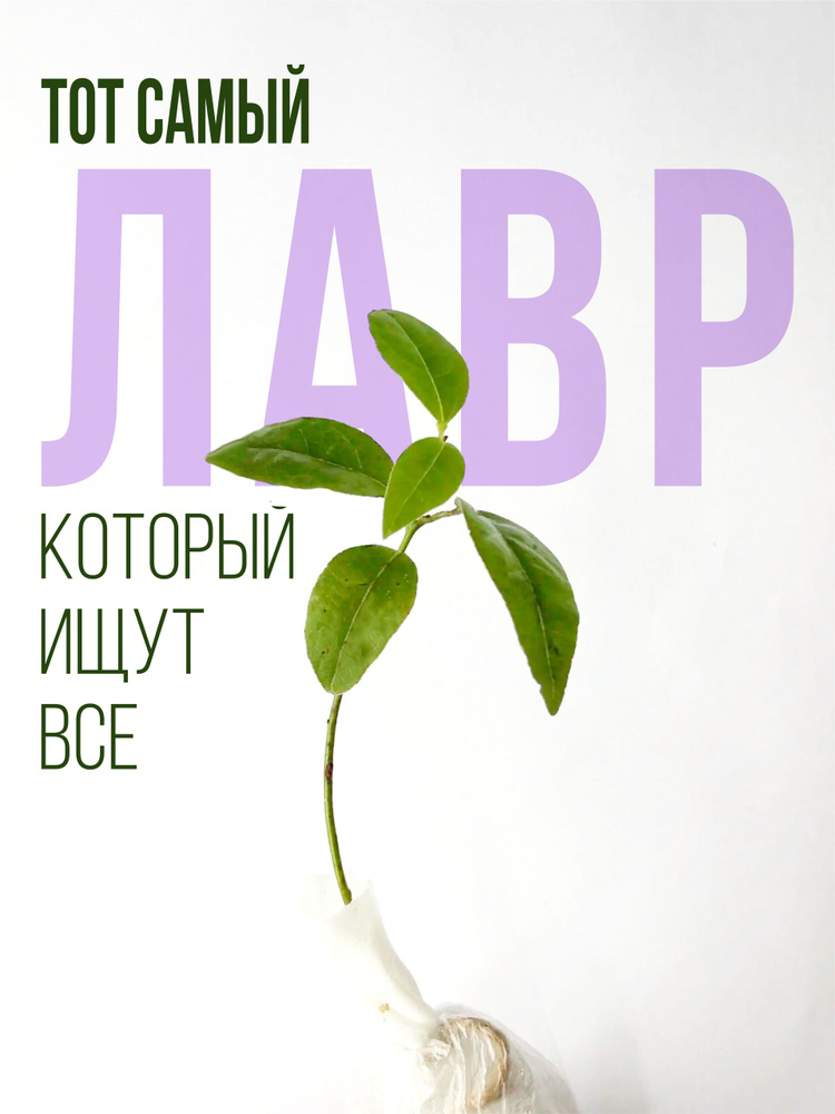 Саженец #1