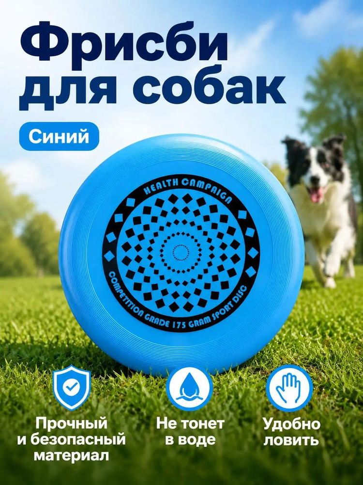 Фрисби #1