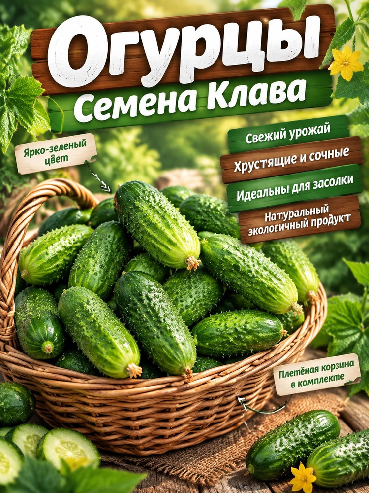 Семена ,10шт #1