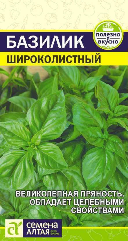 Базилик "Широколистный" семена Алтая для открытого грунта и теплиц, 0,3 гр  #1