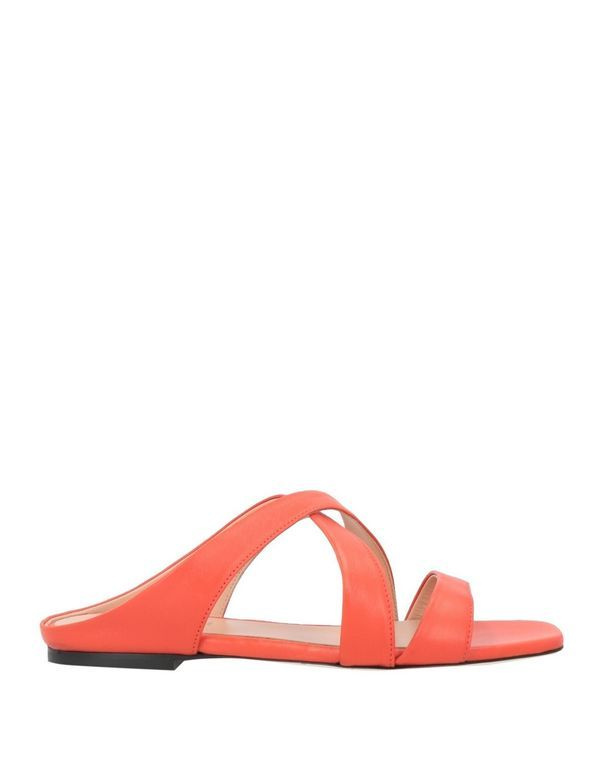 Шлепанцы Pollini #1