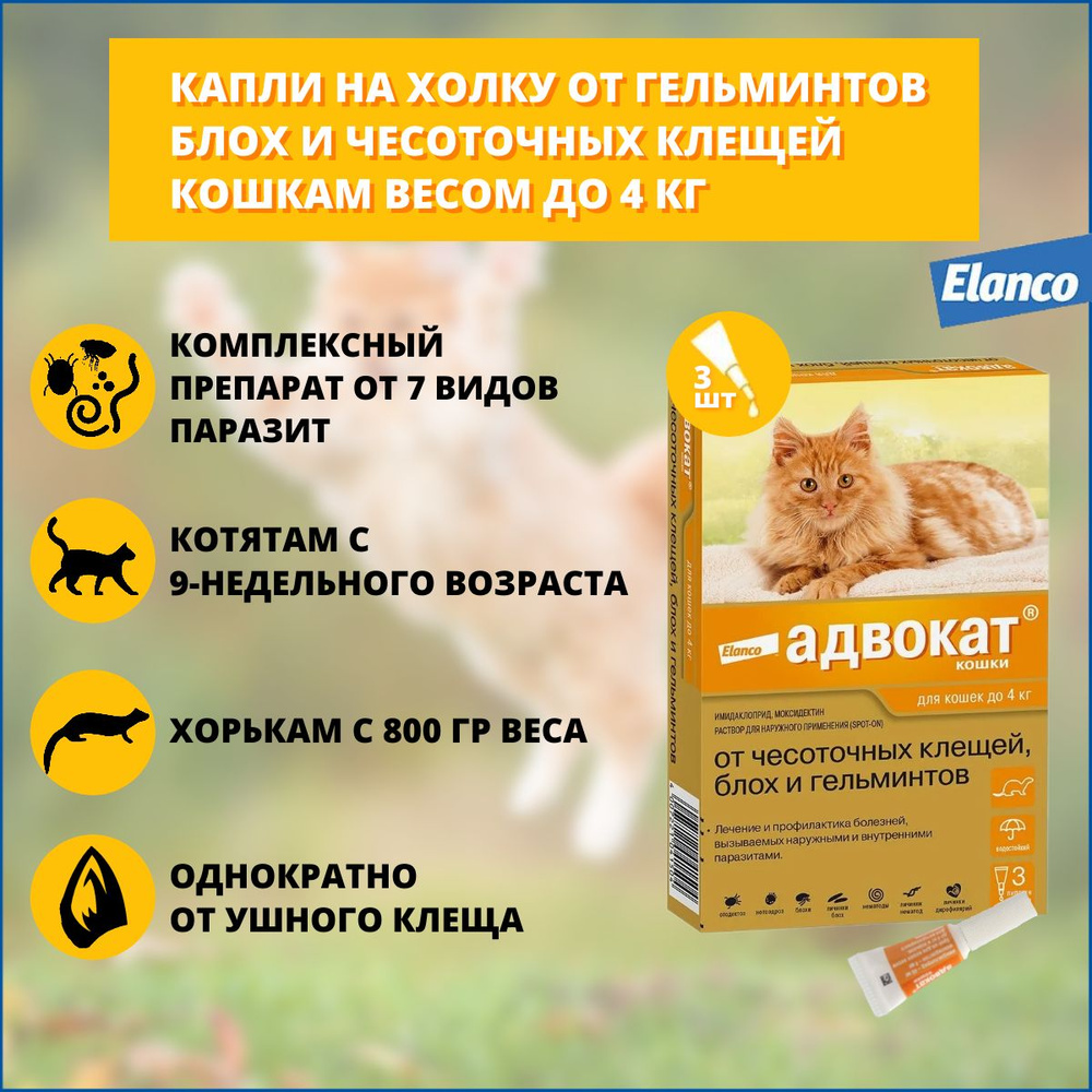 Капли Elanco Адвокат для кошек и хорьков до 4 кг от блох, чесоточных клещей  и круглых гельминтов, 3 пипетки - купить с доставкой по выгодным ценам в  интернет-магазине OZON (852794448)