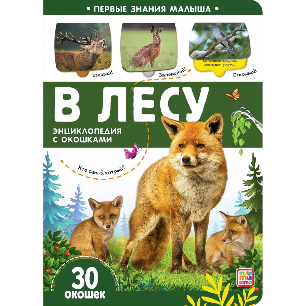 Книга Malamalama Первые знания малыша. В лесу, с окошком - купить с ...