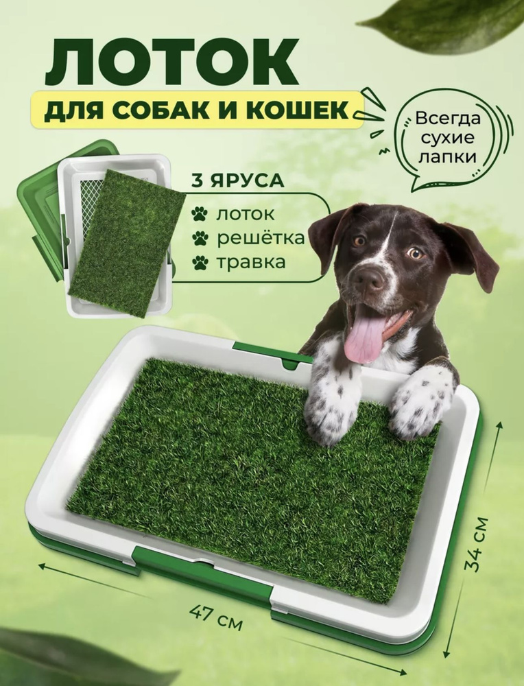 Лоток для собак мелких пород,мини лоток, туалет для маленьких собак ...