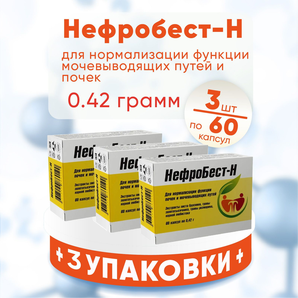 Нефробест-Н капсулы, 3 упаковки по 60 шт 0,42 гр, КОМПЛЕКТ ИЗ 3х упаковок  #1