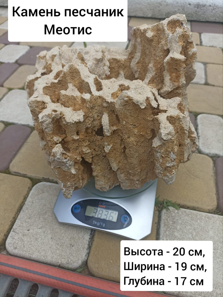 Меотис, камень песчанник 3,836 кг #1