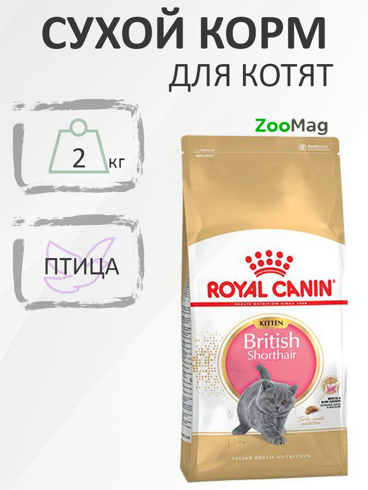 Royal Canin Breed cat Kitten British Shorthair / Сухой корм Роял Канин для Котят породы Британская короткошерстная #1