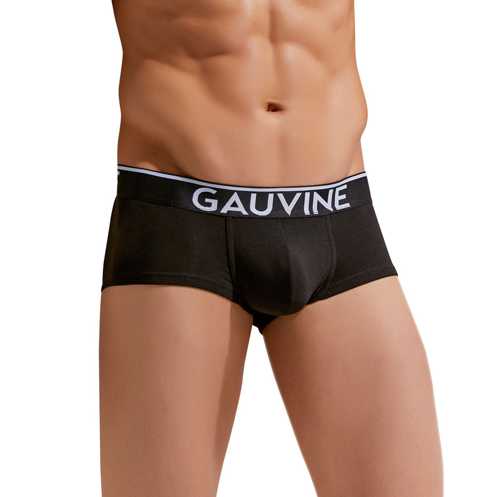 Трусы хипсы GAUVINE, 1 шт #1