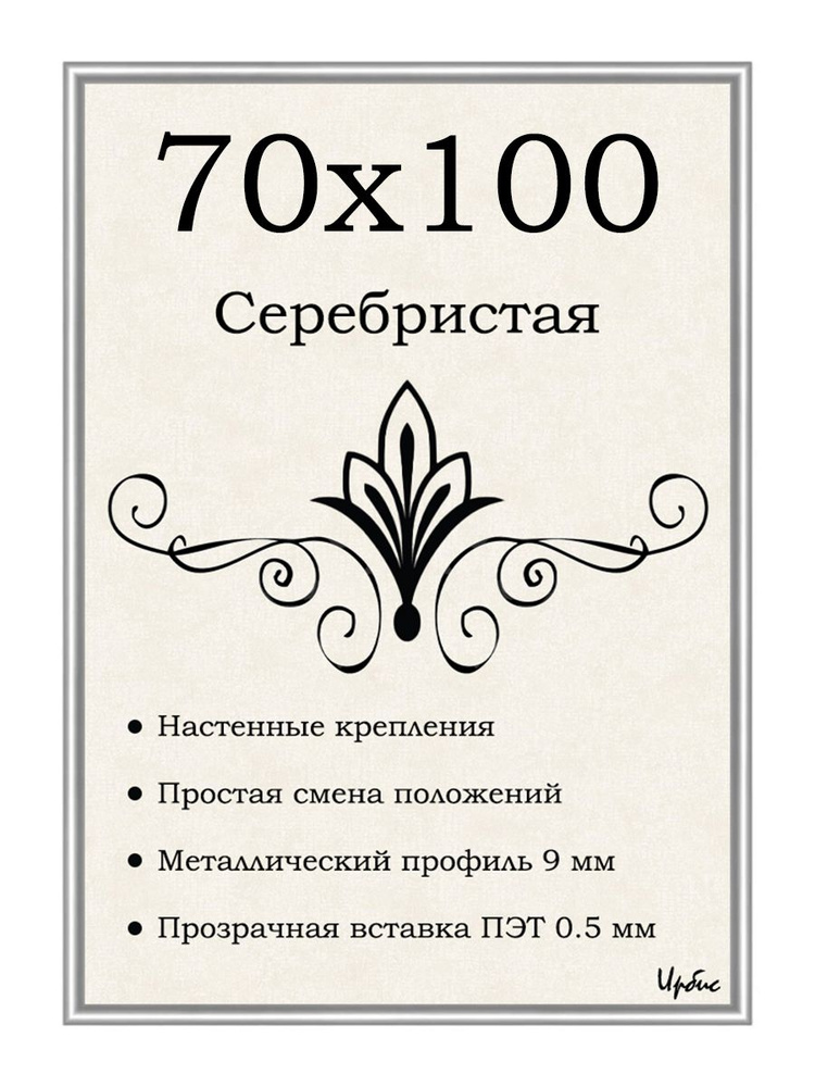 Фоторамка металлическая серебристая для постера, картины, фотографии 70х100 см  #1