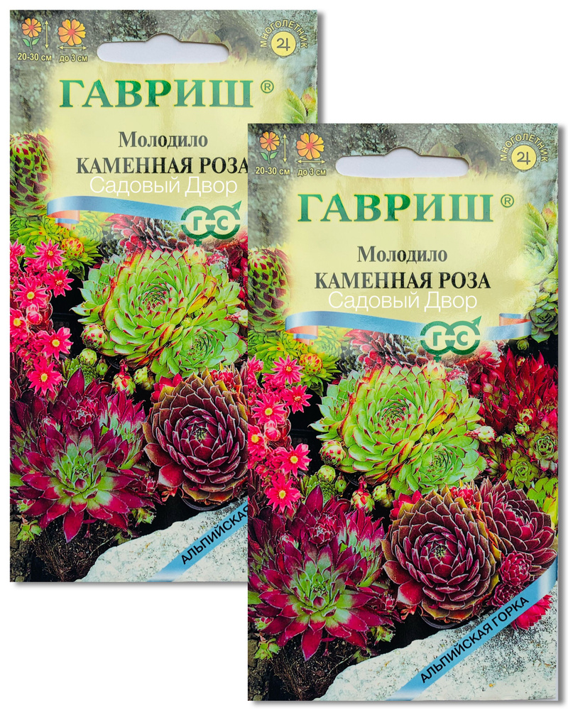 Молодило КАМЕННАЯ РОЗА, 2 пакета, семена 0,01г, ГАВРИШ, многолетник, альпийская горка  #1