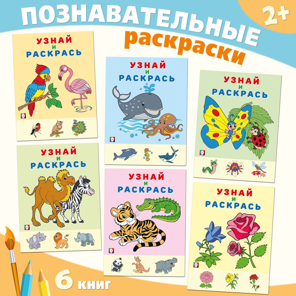 Раскраски для малышей 2-3-4 лет. Распечатать бесплатно