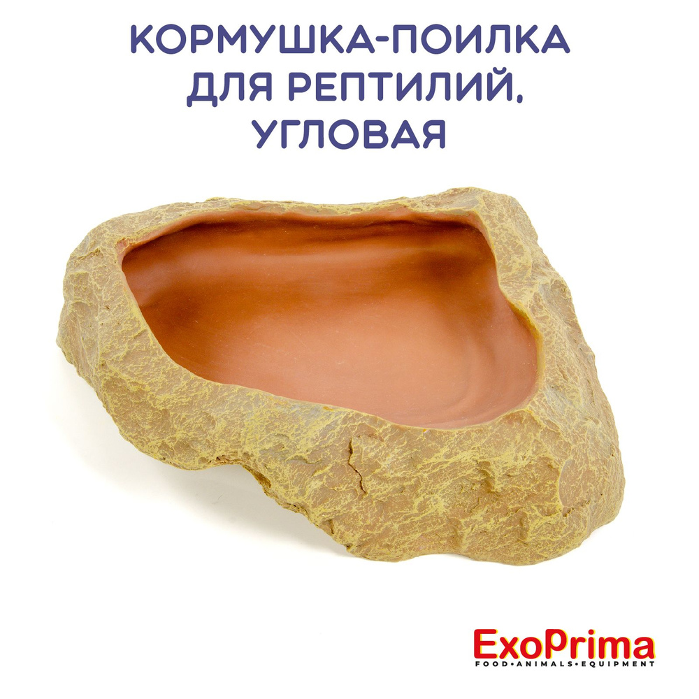 Кормушка - поилка для рептилий EXOPRIMA, угловая, 22х20,5х4.5см #1