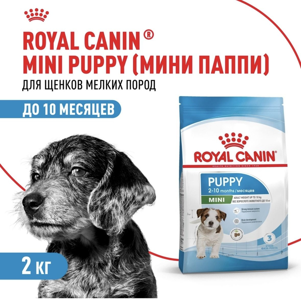 Royal Canin Mini Puppy Сухой корм для щенков мелких пород в возрасте от 2 до 10 месяцев, 2 кг  #1