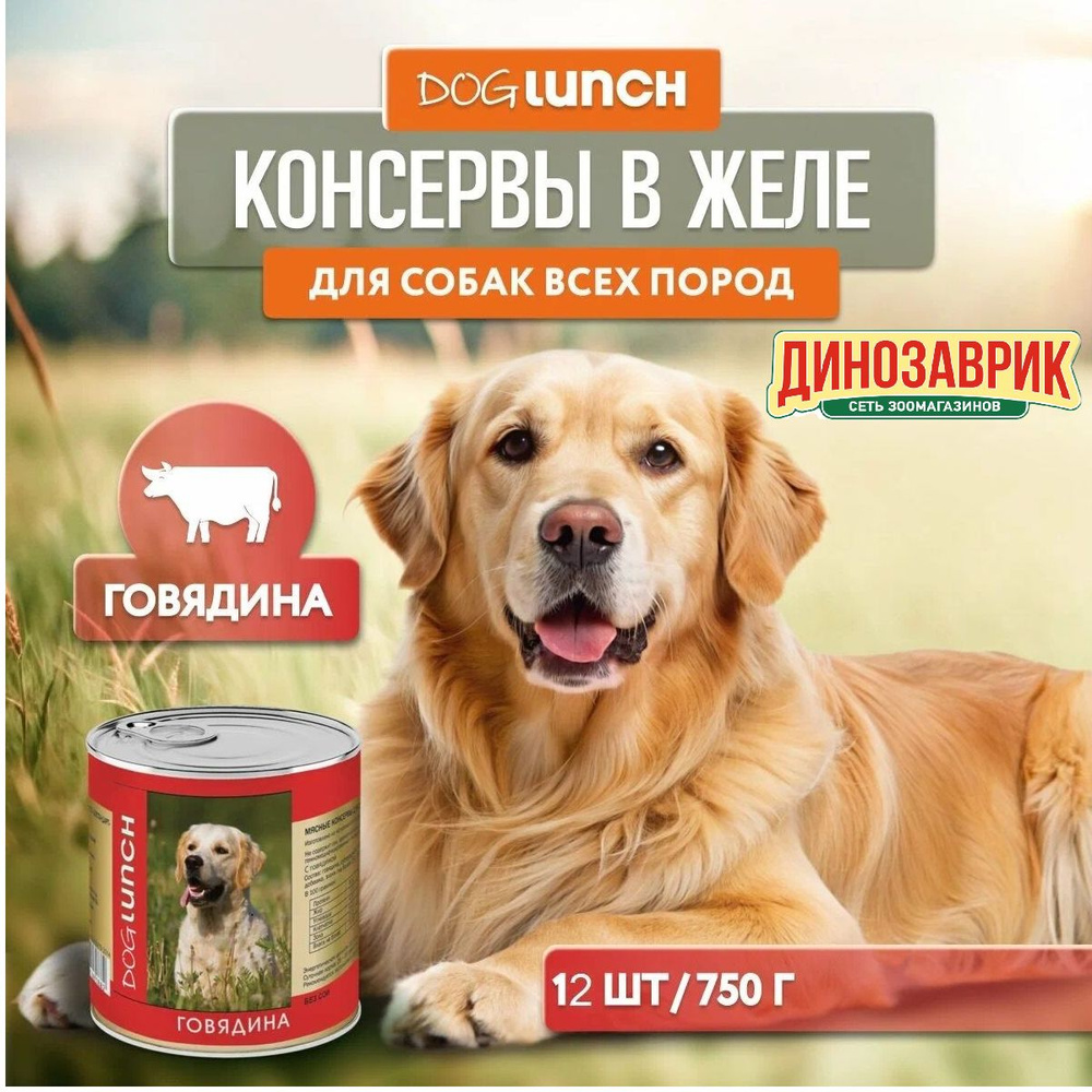 Влажный корм Dog Lunch для любых собак, говядина в желе (12шт х 750гр)  #1