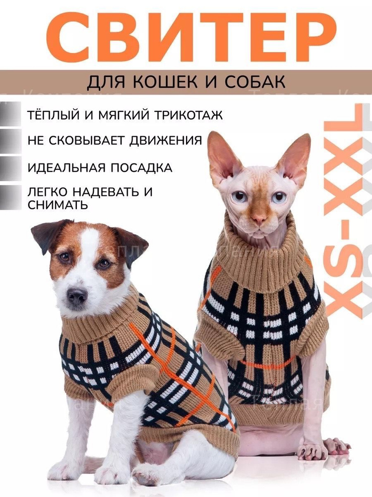 Одежда для животных #1