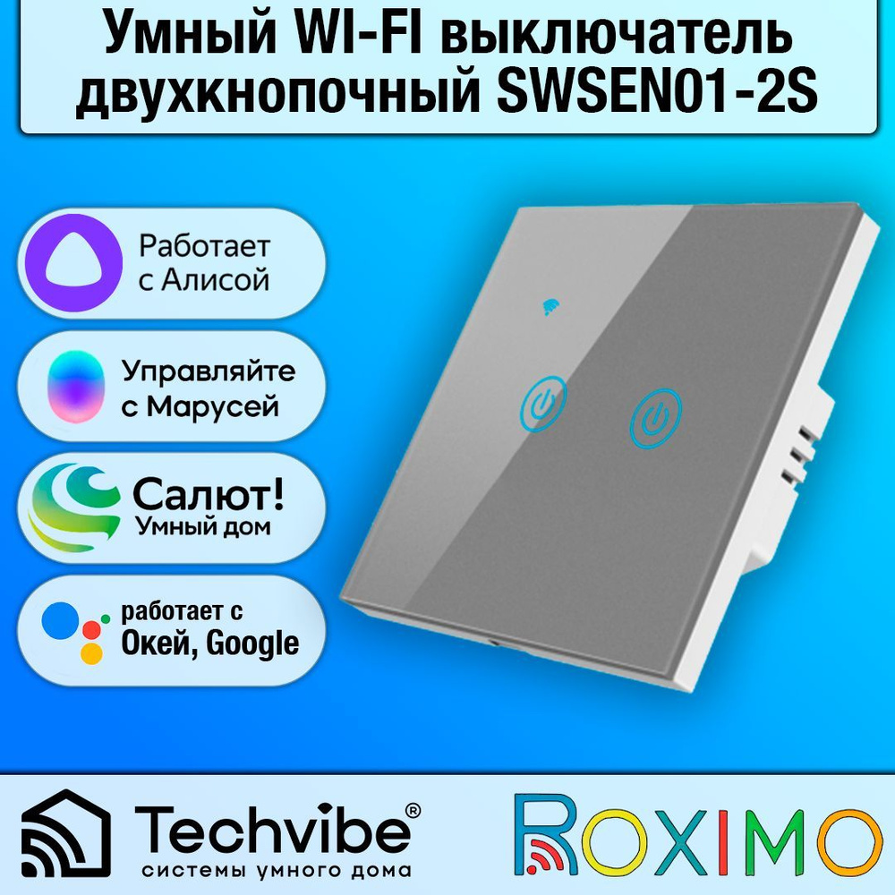 ROXIMO / Умный WI-FI выключатель сенсорный, двухкнопочный, серый SWSEN01-2S  #1