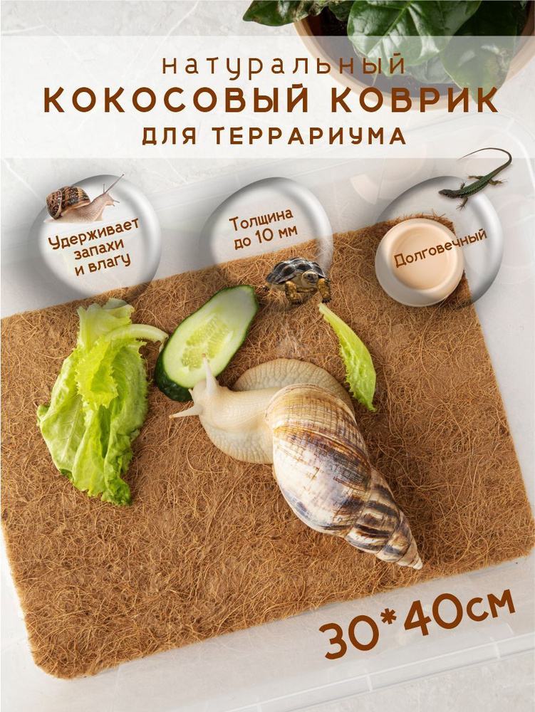 Кокосовый коврик для террариума, рептилий, черепах, улиток, микро-зелени 30*40  #1