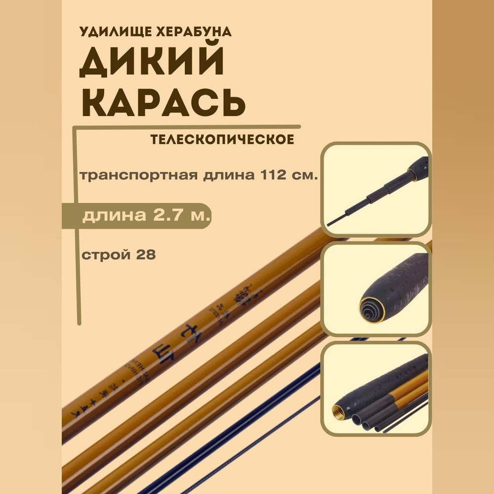 Мен видеода бір қыздың ішіне кірдім Әйелді ауыстыру туралы жаңалықтар