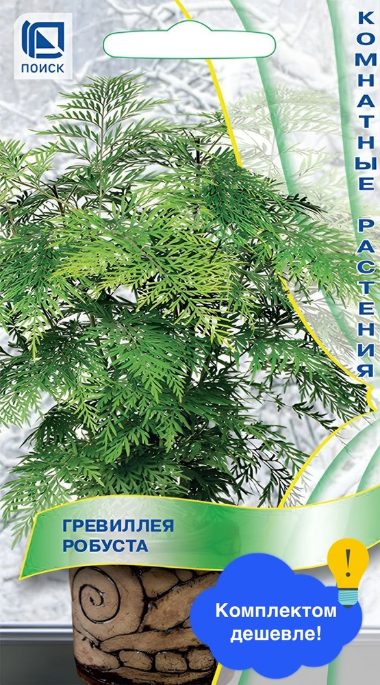Цветы Гревиллея робуста #1